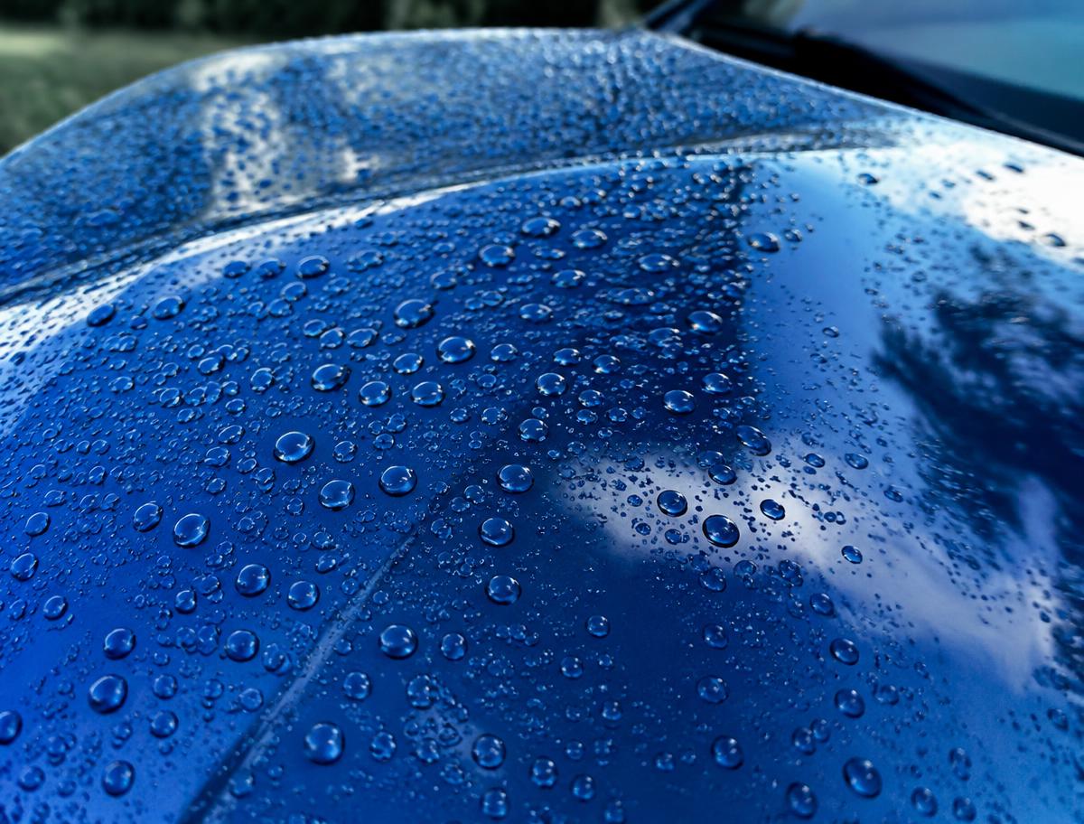 Water beading on a freshly sealed blue hood